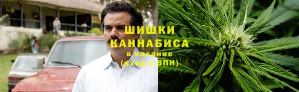 индика Зерноград