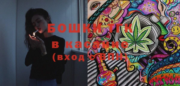 индика Зерноград