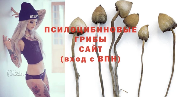 герыч Зеленокумск