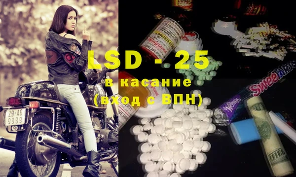 индика Зерноград