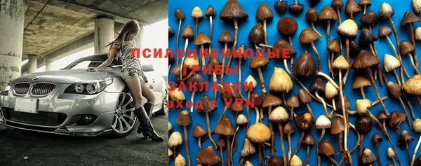 индика Зерноград
