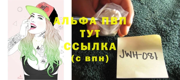 индика Зерноград